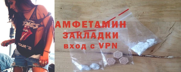 прущие грибы Верея