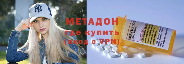 прущие грибы Верея