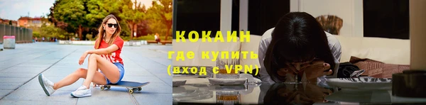 прущие грибы Верея