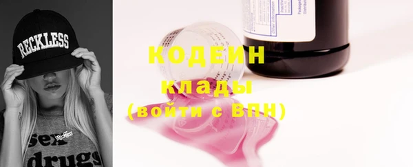 прущие грибы Верея
