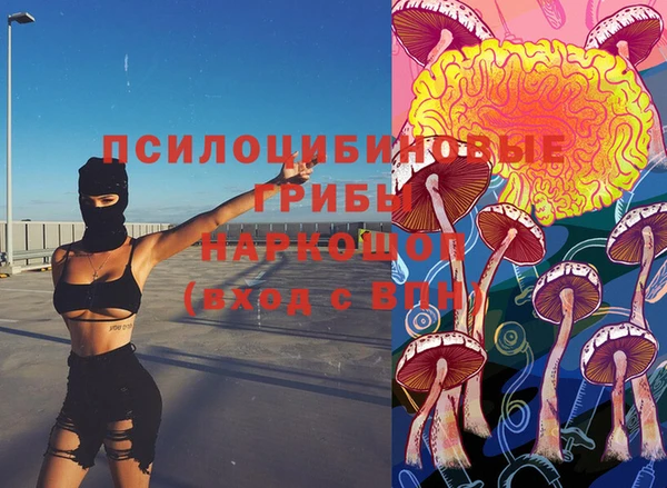 прущие грибы Верея