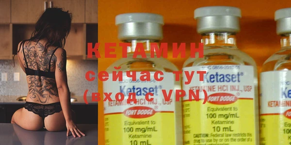 прущие грибы Верея