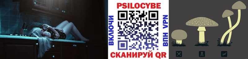как найти закладки  Щёлково  Псилоцибиновые грибы прущие грибы 